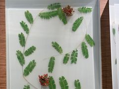 -大连自然博物馆