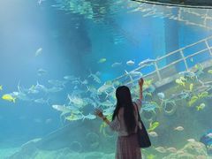 -福州罗源湾海洋世界旅游区