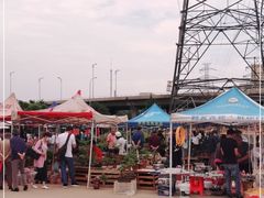 -中环花鸟鱼虫市场