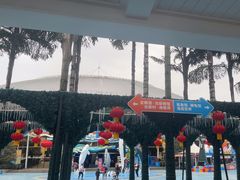 -海合安成都极地海洋公园