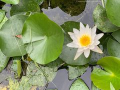 -滇釜火锅·能喝汤的火锅(车公庄店)