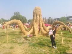 -秀丽东方