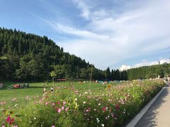 -武陵山森林公园