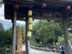 -林坑古村落