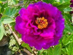 -北京植物园南门售票处