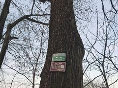 -终南山南五台景区