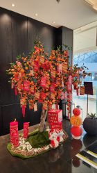 -丽妍雅集 Rubis SPA