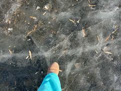 -长春市南湖公园