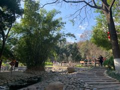 -成都市活水公园