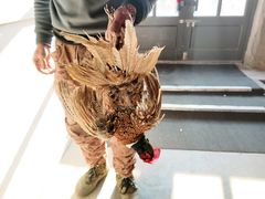 -鱼窝棚柴火铁锅炖(富山屯店)