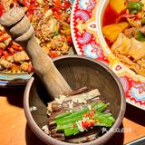 塔哈尔新菜谱升级上新啦，开启美食之旅！
