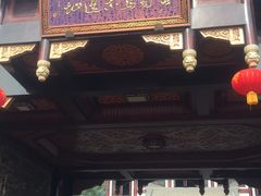 -乐山乌木文化博览苑