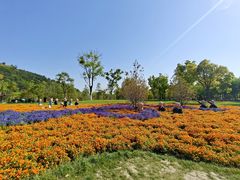-狼山风景名胜区