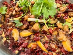 -食神又名厕所兔