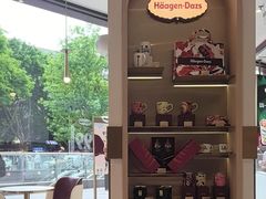 -哈根达斯(龙湖时代天街店)