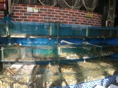 水产区-蟹谢蒸鲜自助餐厅