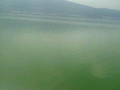 -呈贡滇池生态湿地公园