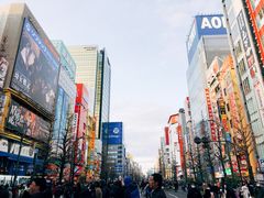 -秋叶原电器街