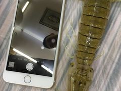 -微海海鲜加工店(第一市场店)