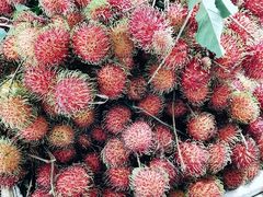 -港华水果街(港华广场店)