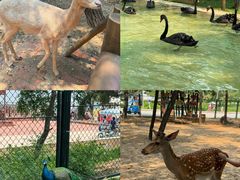 -南戴河国际娱乐中心