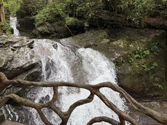 -江西阳明山国家森林公园