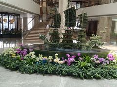 -广州白天鹅宾馆