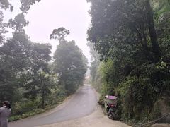 -凤栖山