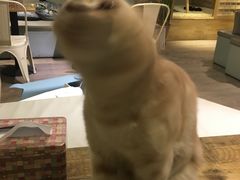 -小时光咖啡馆(开森度假森林店)