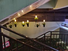 -鲜椒鱼·雅安地标性美食