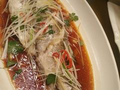 -喜乐餐厅•灯笼虾球首创者•本地小海鲜(二马路店)
