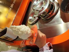 -野人先生现做冰淇淋(北京王府井东方新天地店)