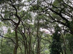 -忠山公园