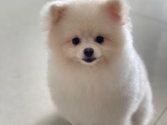 -宠颐生动物医院·小陆分院