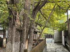 -大觉寺-停车场