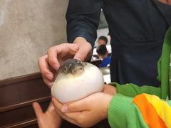 -肆月河豚·新淮扬(金融街店)