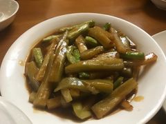 -喀纳斯禾木山庄