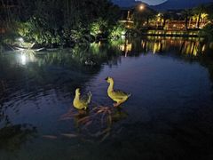 -水底山庄园温泉