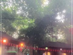 -嘉和K6温泉微度假