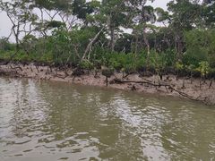 -东寨港红树林旅游区