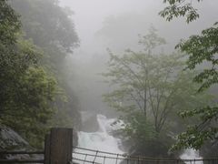 -大鄣山卧龙谷景区