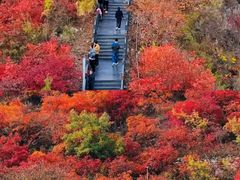 -狼牙山风景区