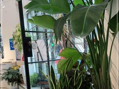 -Fridi Patisserie Cafe