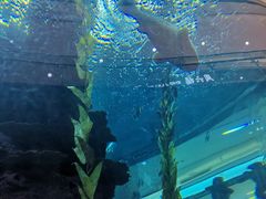 -鸿通城购物中心