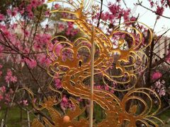 -南汇桃花村