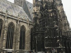 -斯蒂芬主教座堂(Stephansdom)
