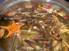 -千岛蚝高压锅生蚝·人参火锅(白云万达店)