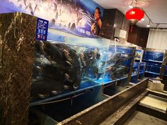 水产区-百姓渔村(建设路店)