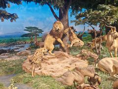 -国家自然博物馆