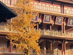 -高旻寺